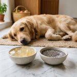 Can dogs have gelatin and chia seeds safety guide